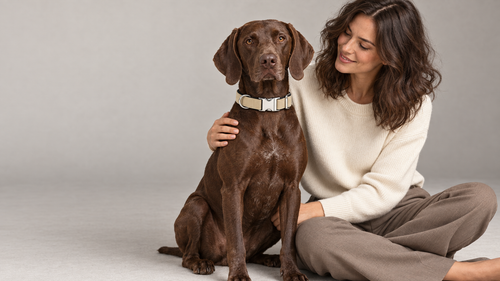 Collar Camel