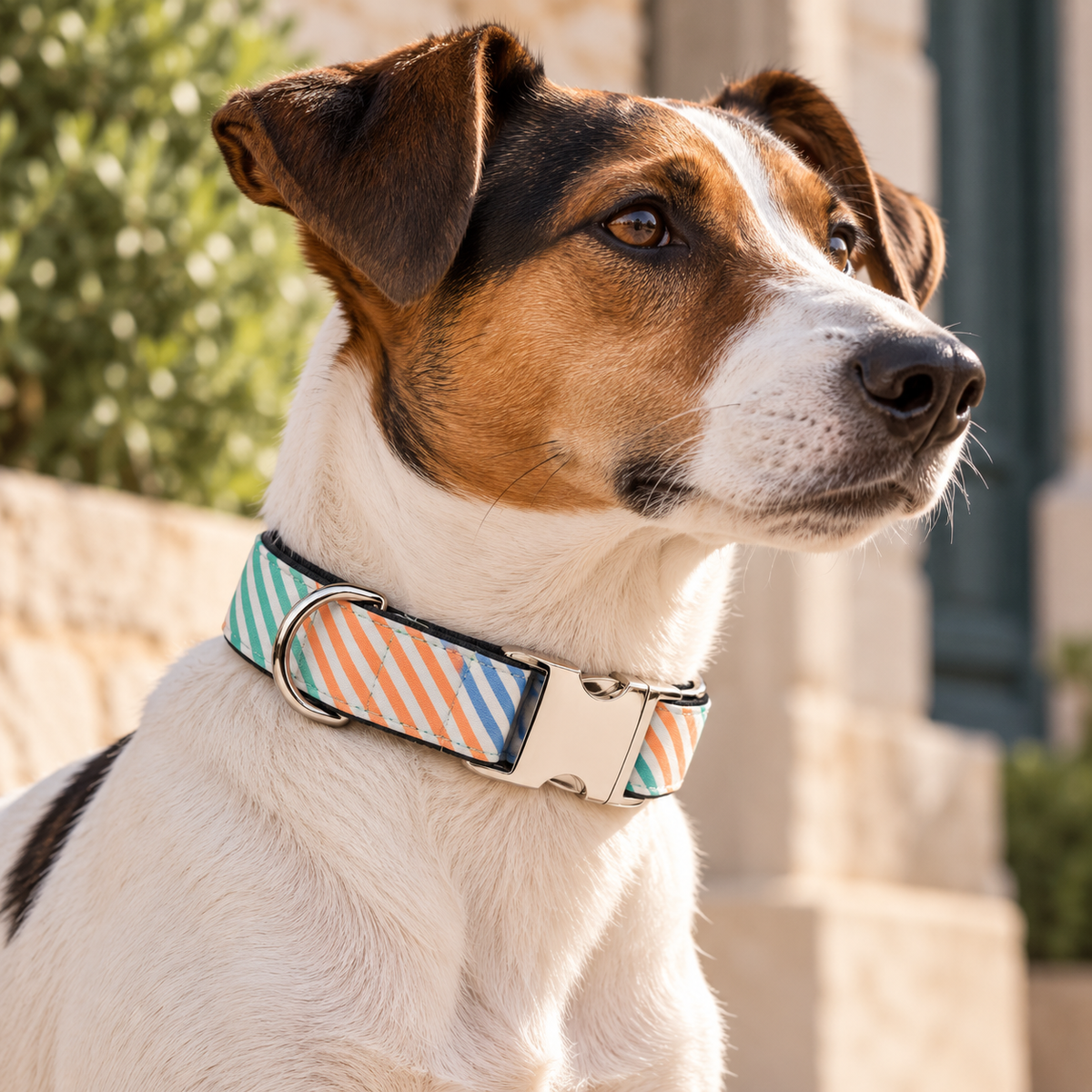 Collar para perro Gris