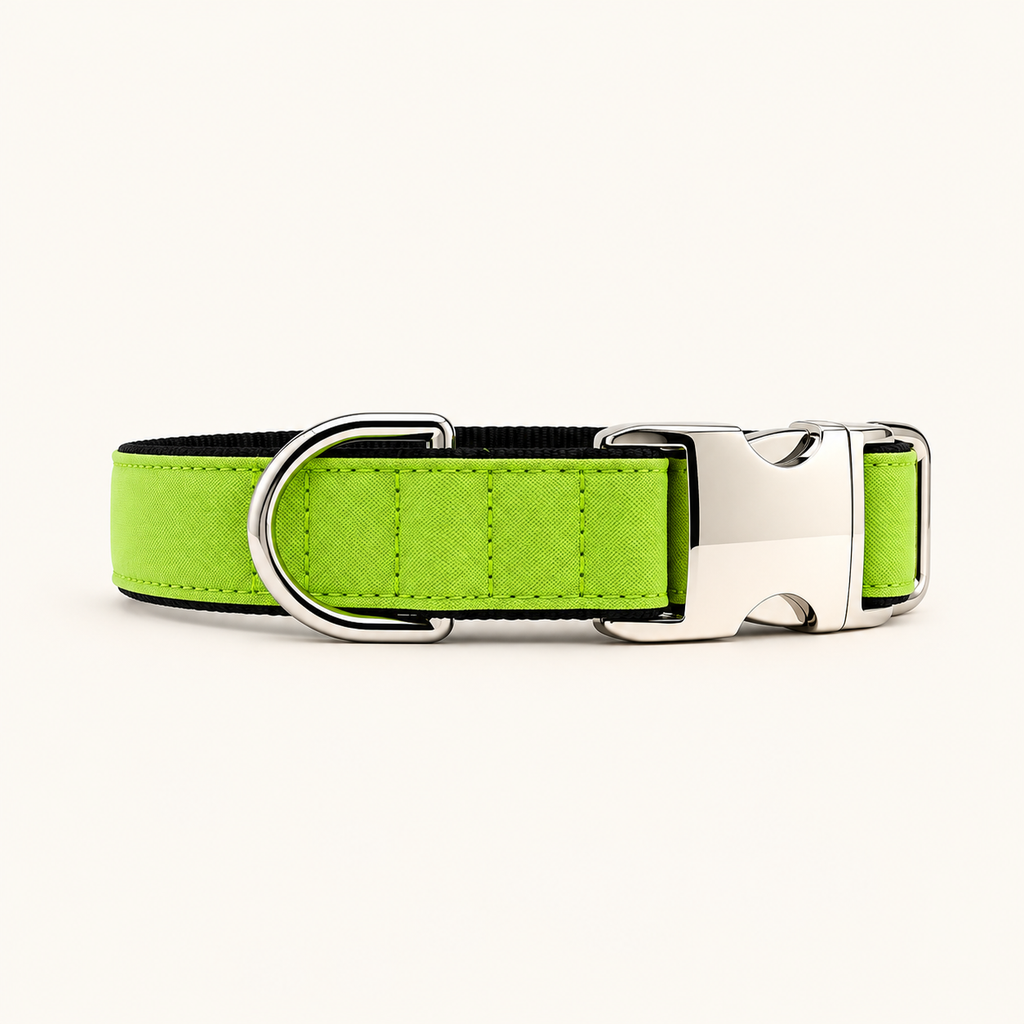 Collar para perro Gris