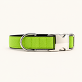 Collar para perro Gris