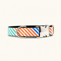 Collar para perro Gris