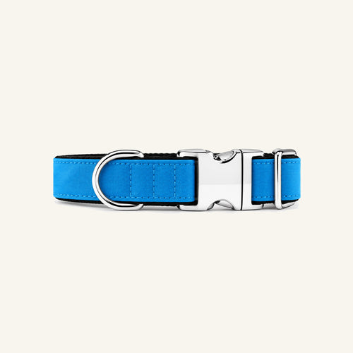 Collar para perro Cobalto de SIRKAWS